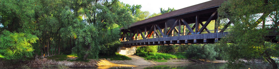 Bild zeigt die Altrheinbrcke im Sommer