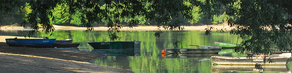 Bild zeigt einen Ausschnitt des Altrheins im Sommer