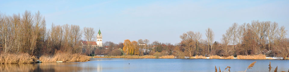 Bild zeigt den Anglersee im Winter