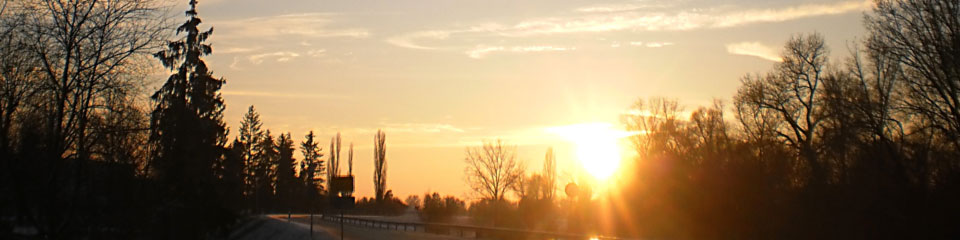 Bild zeigt die Straße am Ortsausgang Richtung Altlußheim beim Sonnenuntergang