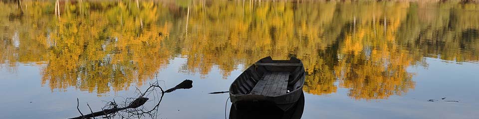 Bild zeigt einen Ausschnitt des Altrheins im Herbst