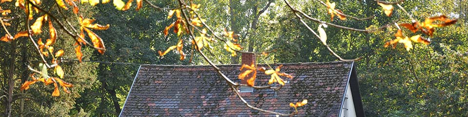 Bild zeigt das alte Försterhaus auf der Rheininsel im Herbst