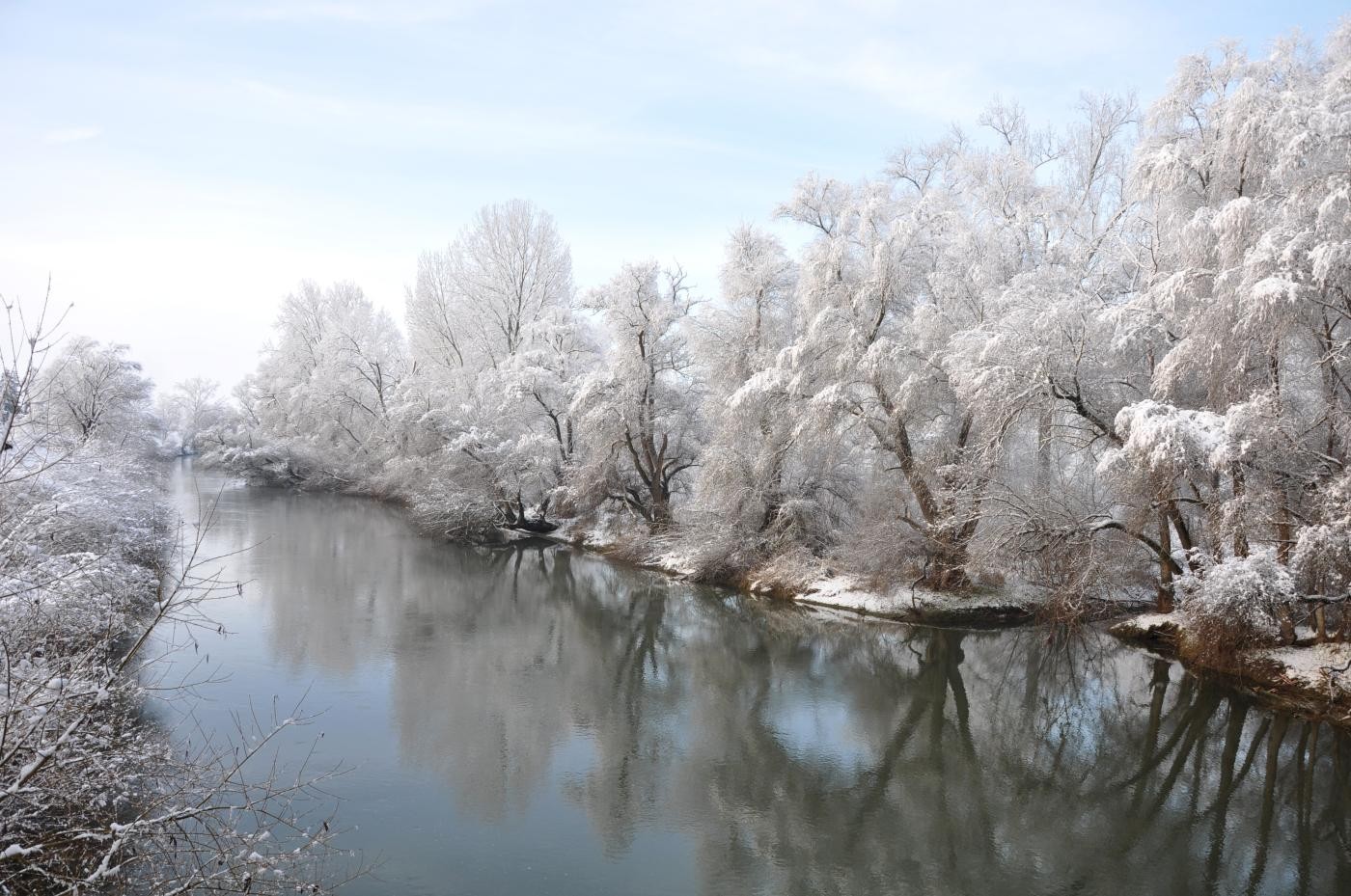 Altrhein im Winter mit Schnee auf den Bäumen am Ufer