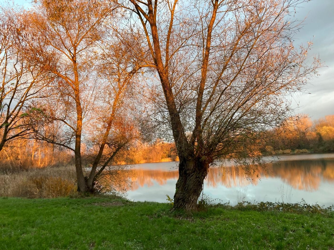 Anglersee im Abendlicht mit herbstlichen Bäumen