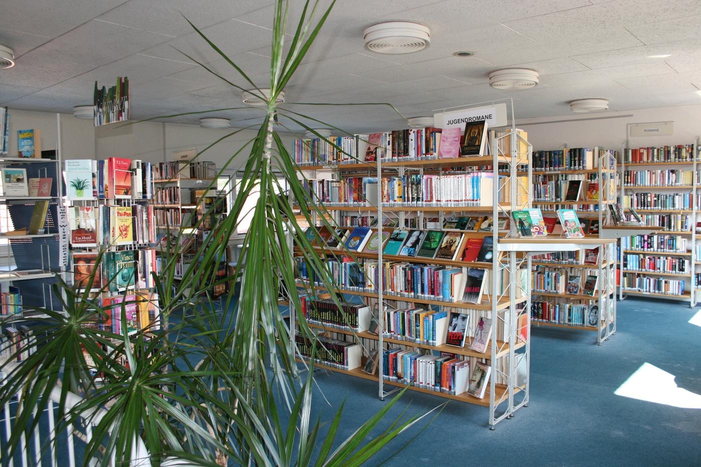 Bücherregale