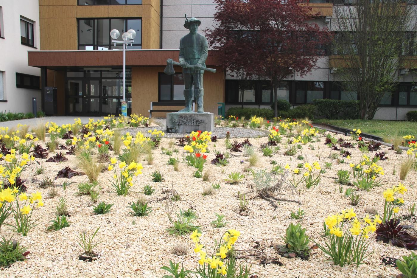 Stauden, Tulpen und Osterglocken
