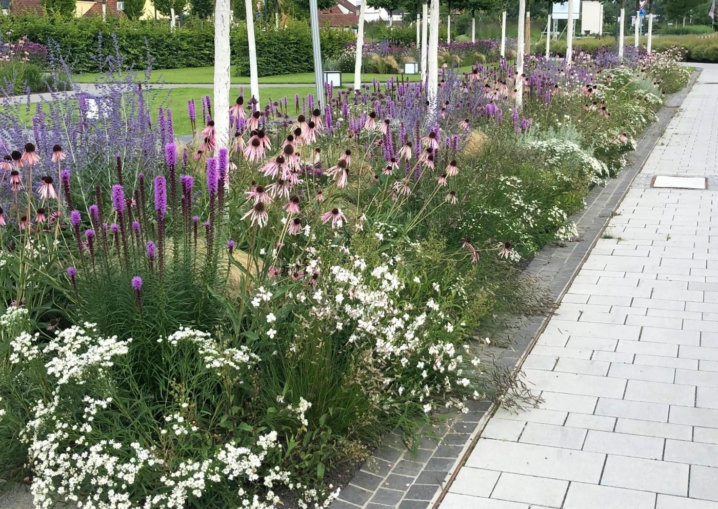 bunte Blumenpracht am Marktplatz